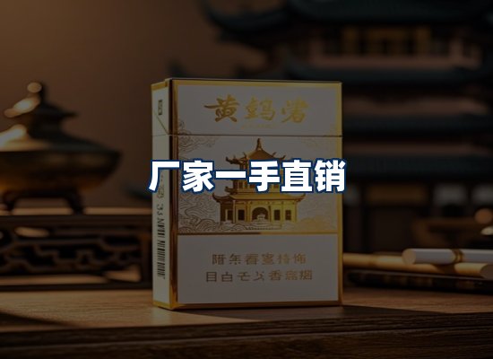 专业团队办公环境